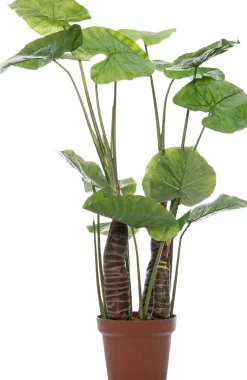 Intratuin kunstplant Olifantsoor H 100 cm