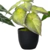Intratuin kunstplant Olifantsoor D 7 H 16 cm