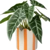 Intratuin kunstplant Olifantsoor oranje D 7,5 H 16 cm