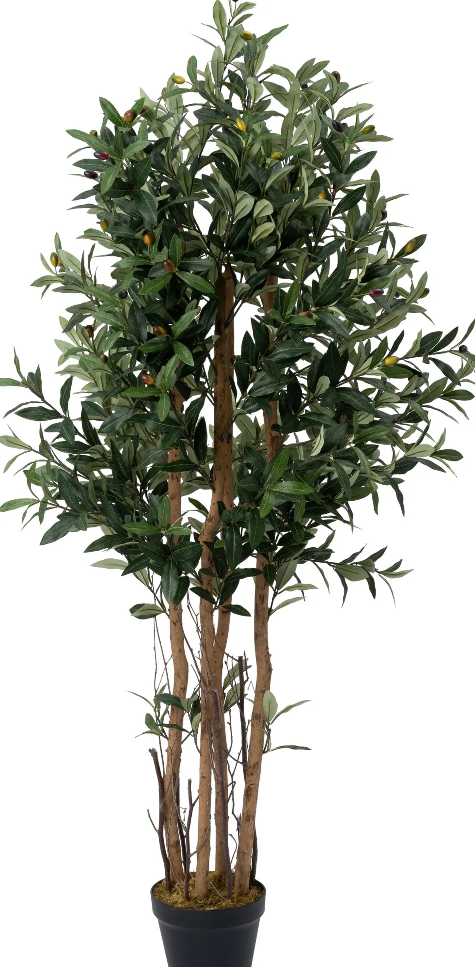 Intratuin kunstplant Olijfboom D 18 H 149 cm