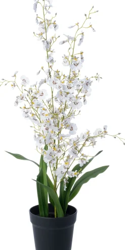 Intratuin kunstplant Orchidee wit D 15 H 90 cm