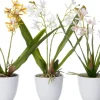 Intratuin kunstplant Orchidee geel D 10 H 37 cm