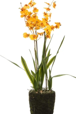 Intratuin kunstplant Orchidee geel D 17 H 75 cm