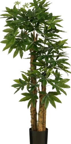 Intratuin kunstplant Pachira H 175 cm