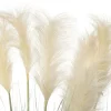 Intratuin kunstplant Pampusgras beige H 110 cm
