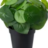 Intratuin kunstplant Pannenkoekenplant D 12,9 H 26 cm