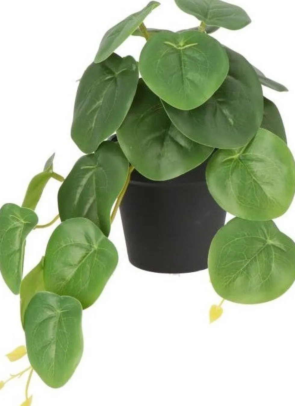 Intratuin kunstplant Pannenkoekenplant D 9 H 18 cm