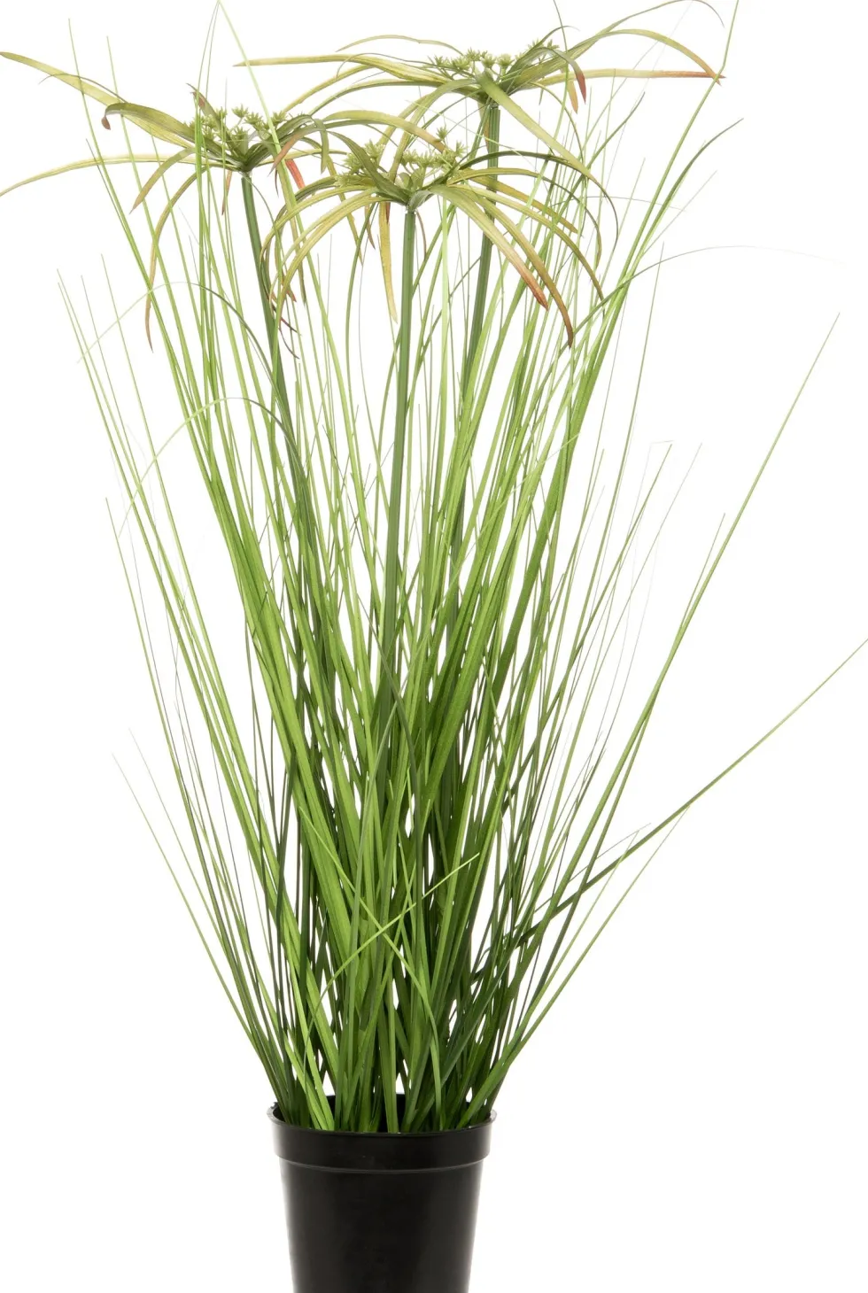 Intratuin kunstplant Papyrus groen H 60 cm