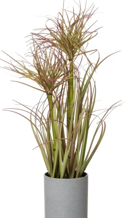 Intratuin kunstplant Papyrus H 45 cm