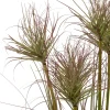 Intratuin kunstplant Papyrus groen / rood D 14,5 H 120 cm