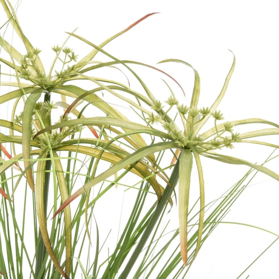 Intratuin kunstplant Papyrus D 50 H 110 cm