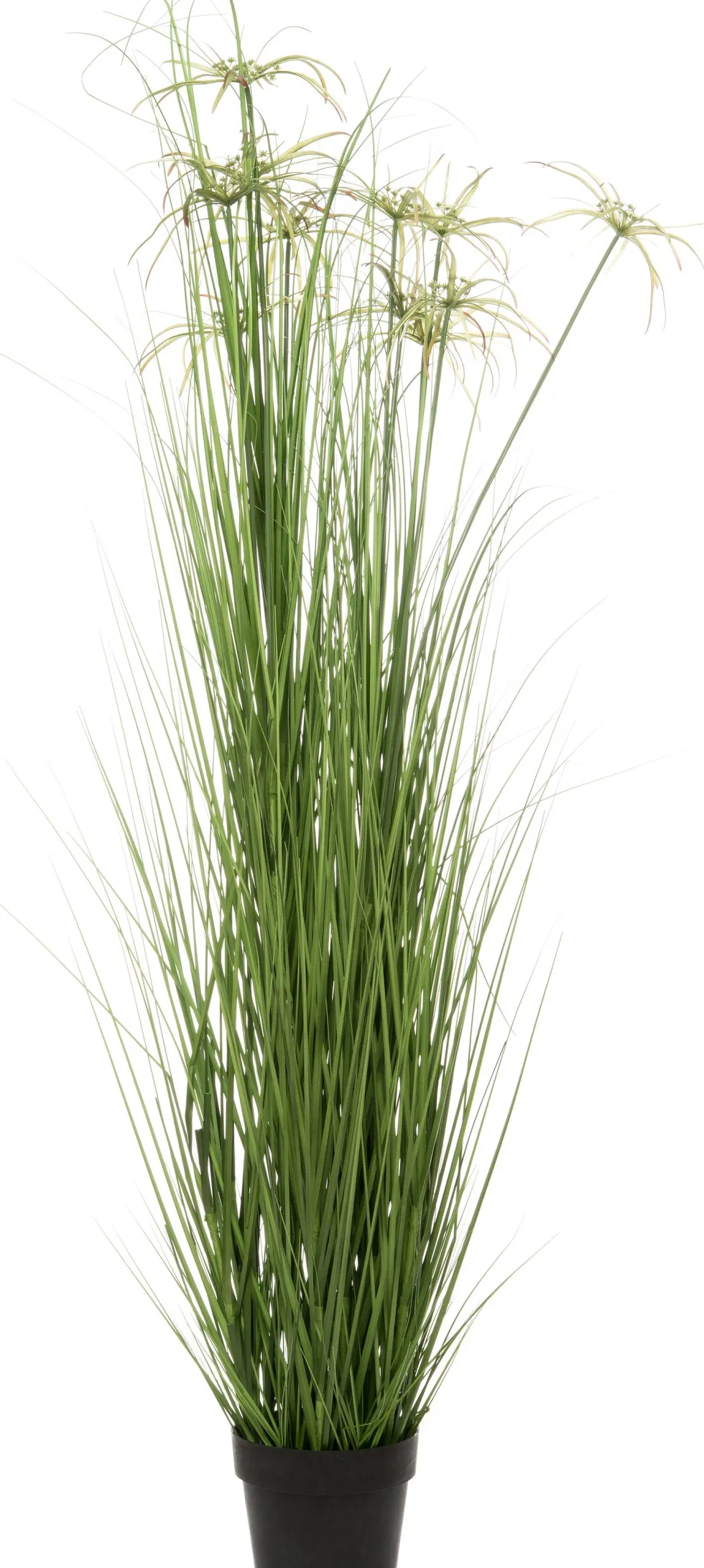 Intratuin kunstplant Papyrus groen H 160 cm