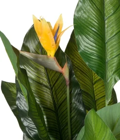 Intratuin kunstplant Paradijsvogelbloem geel H 170 cm