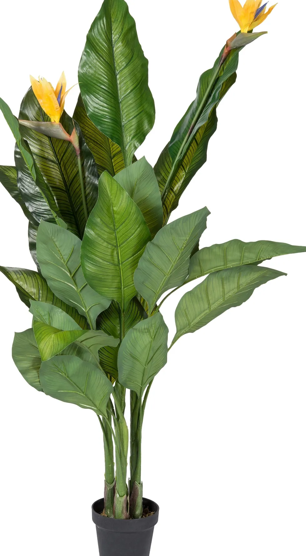 Intratuin kunstplant Paradijsvogelbloem geel H 170 cm