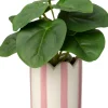 Intratuin kunstplant Peperomia D 7,5 H 16 cm