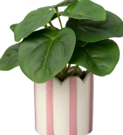 Intratuin kunstplant Peperomia D 7,5 H 16 cm