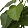Intratuin kunstplant Philodendron H 40 cm