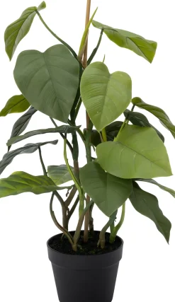 Intratuin kunstplant Philodendron H 40 cm