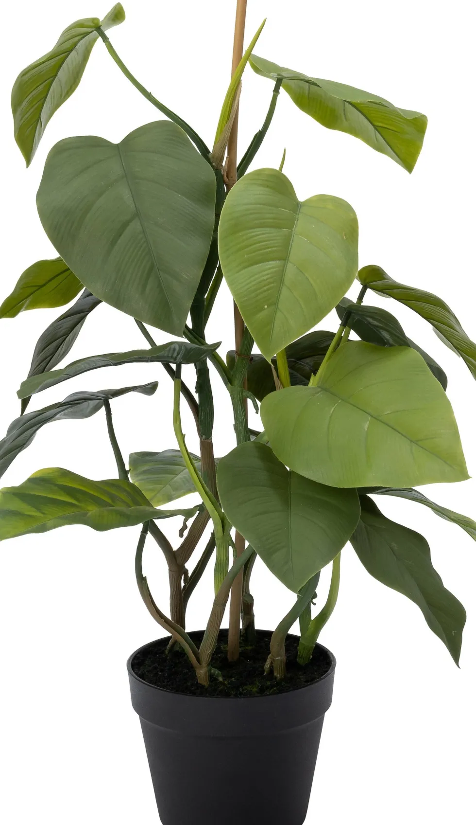 Intratuin kunstplant Philodendron H 40 cm