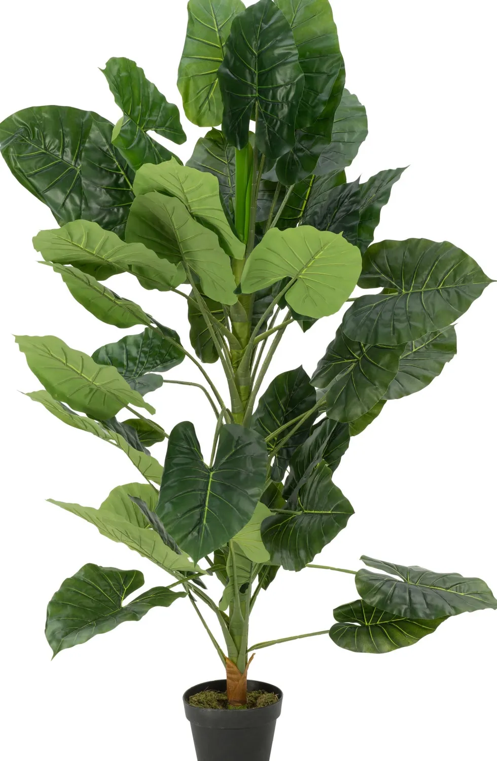 Intratuin kunstplant Philodendron H 140 cm