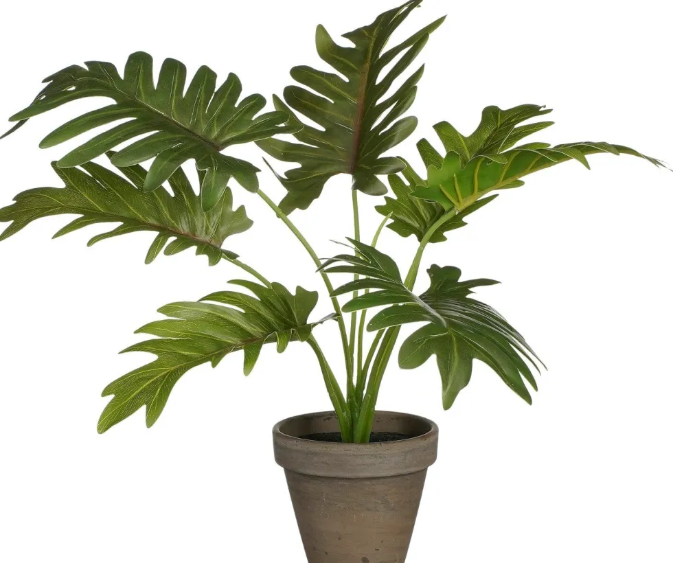 Intratuin kunstplant Philodendron H 30 cm