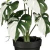 Intratuin kunstplant Philodendron groen / wit H 27 cm