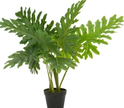 Intratuin kunstplant Philodendron 'Xanadu' H 85 cm
