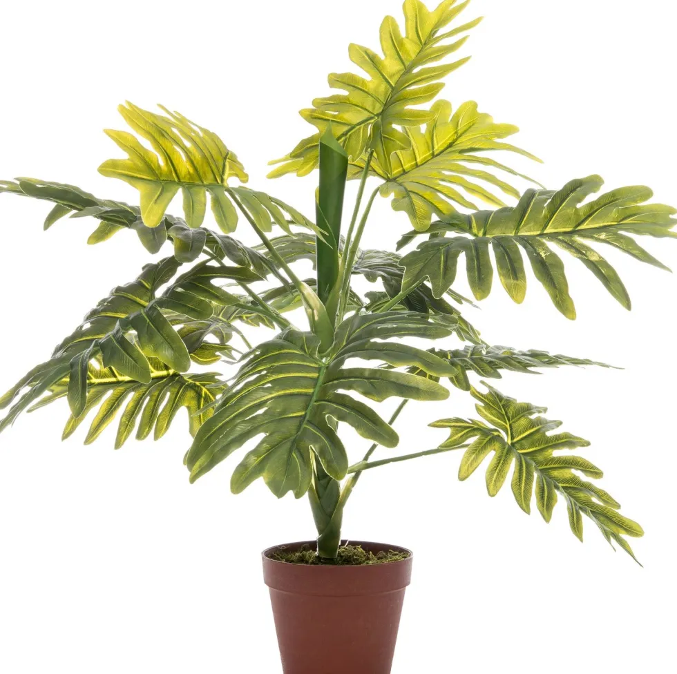 Intratuin kunstplant Philodendron D 15,5 H 60 cm