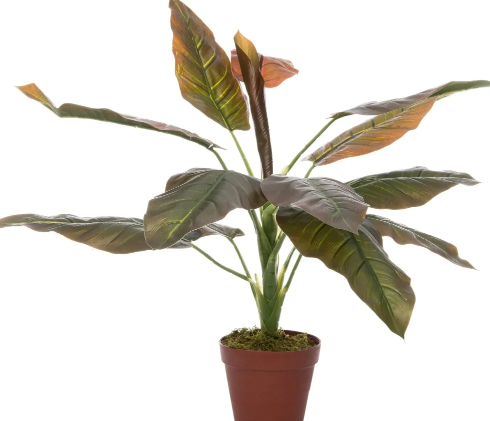 Intratuin kunstplant Philodendron groen / rood H 60 cm