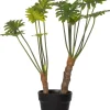 Intratuin kunstplant Philodendron 'Xanadu' H 56 cm