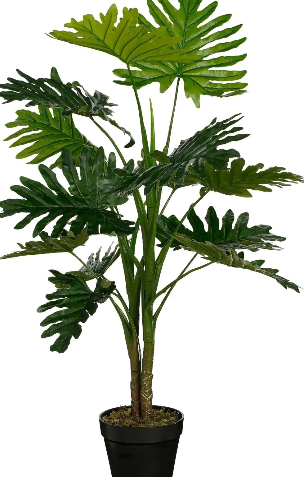 Intratuin kunstplant Philodendron H 100 cm