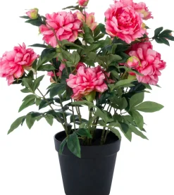 Intratuin kunstplant Pioenroos roze D 20 H 70 cm