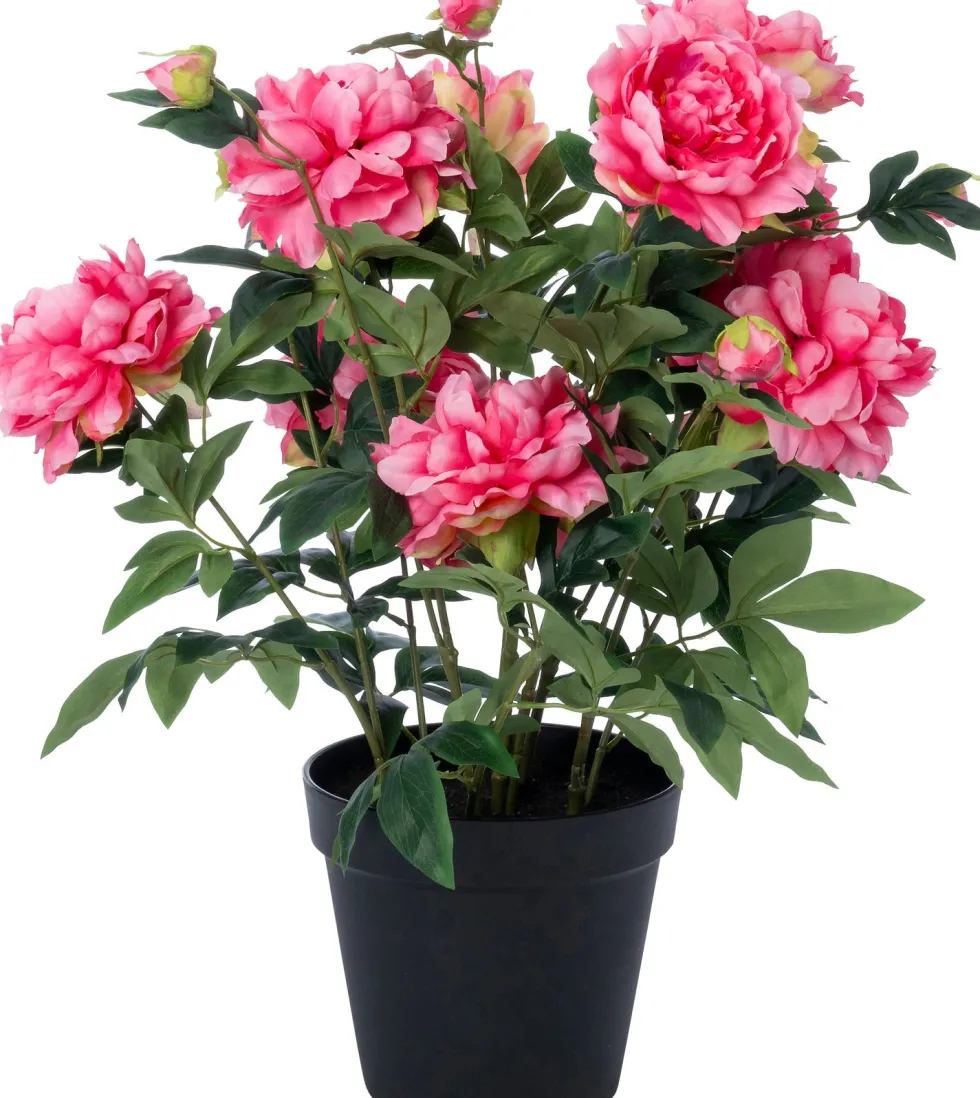 Intratuin kunstplant Pioenroos roze D 20 H 70 cm