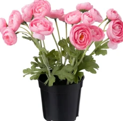 Intratuin kunstplant Ranonkel roze D 11 H 26 cm