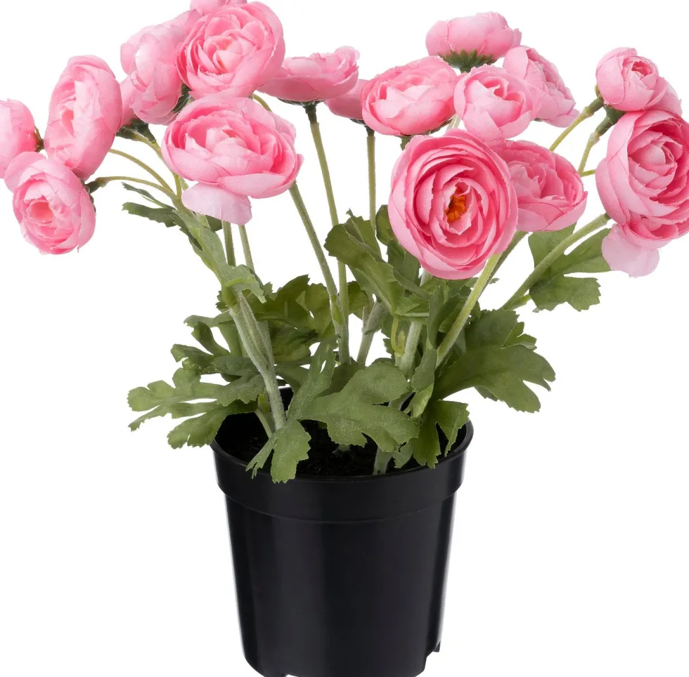 Intratuin kunstplant Ranonkel roze D 11 H 26 cm