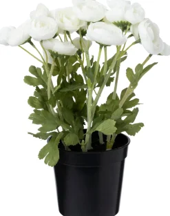 Intratuin kunstplant Ranonkel crème D 11 H 26 cm