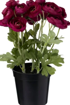 Intratuin kunstplant Ranonkel rood D 11 H 26 cm