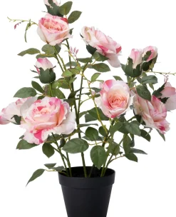 Intratuin kunstplant Roos donkerroze D 15 H 70 cm