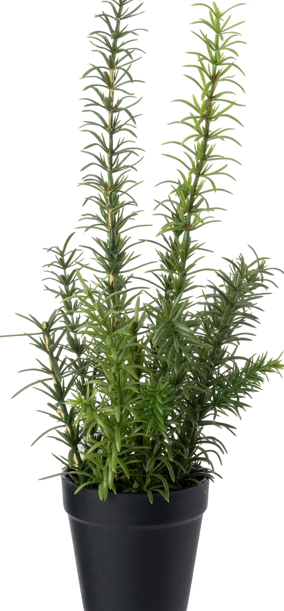Intratuin kunstplant Rozemarijn paars D 9,5 H 38 cm