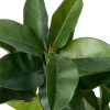 Intratuin kunstplant Rubberboom D 17 H 134 cm