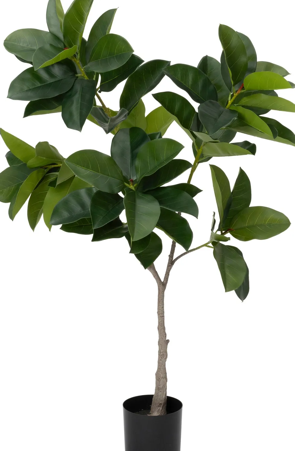 Intratuin kunstplant Rubberboom D 17 H 134 cm