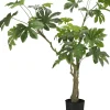 Intratuin kunstplant Schefflera D 21 H 144 cm