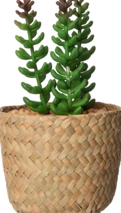 Intratuin kunstplant Sedum D 9 H 16 cm