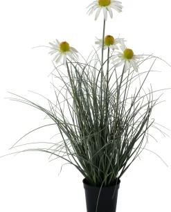Intratuin kunstplant Siergras / Zonnehoed wit D 11 H 62 cm