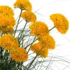 Intratuin kunstplant Siergras / Sierui geel D 13 H 82 cm