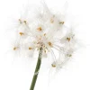 Intratuin kunstplant Siergras / Paardenbloem wit H 95 cm