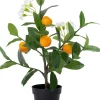 Intratuin kunstplant Sinaasappelboom oranje / wit D 8,5 H 38 cm