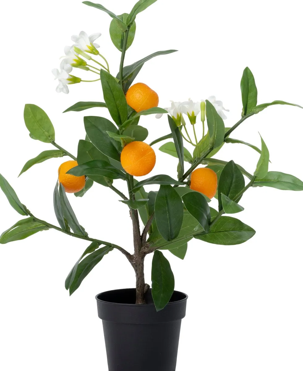 Intratuin kunstplant Sinaasappelboom oranje / wit D 8,5 H 38 cm