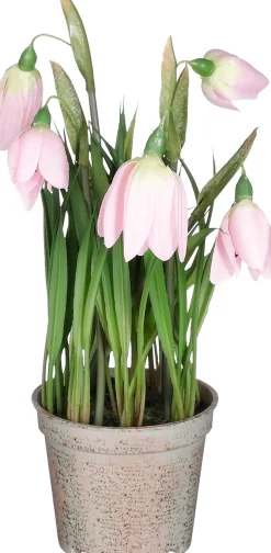 Intratuin kunstplant Sneeuwklokje roze H 23 cm