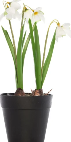Intratuin kunstplant Sneeuwklokje wit H 28 cm